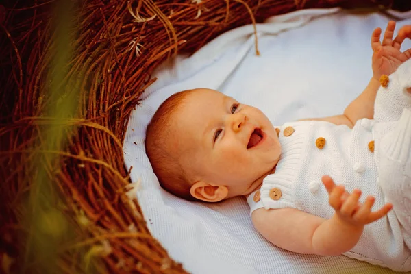 Neugeborenenbetreuungsbuch für Eltern. Neugeborene Mädchen oder Jungen wachen in der Krippe auf. Kind und Eltern. Pflege verpflichtet. Kinder-Bilderbuch — Stockfoto