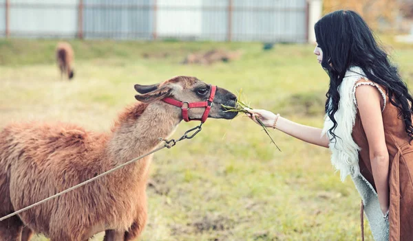 Frau füttert Kamel. Kamel essen aus den Händen eines hübschen Mädchens mit langen lockigen brünetten Haaren im Freien. Tiere und Ökologie. Afrikanische Fauna im Zoo oder Tierpark. — Stockfoto