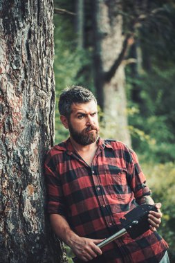 Gezgin yeşil orman uzun sakallı. Gezgin rahatla kürek yaz tatil kavramı ile