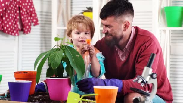 Koncepcja wiosna, natura i opieki. Chłopiec Cute dziecko pomaga ojcu w pielęgnacji roślin. Kwiaty roślin. Człowiek z kwiatów roślin chłopiec. Kwiaty roślin z rodziny. Uprawy roślin i kiełki kiełkowania. — Wideo stockowe