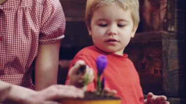 Büyüyen bitkiler ve çimlenme filizlenir. Bitki çiçek. Çocuk bitki çiçek olan kadın. Aile bitki çiçek. Yakın çekim. Bahar zamanı. Çocuk dünyayı elleriyle pota koyar. Bitkiler için gübreler.