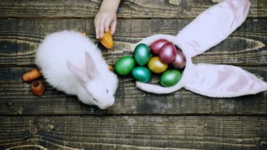 Üstten Görünüm çocuğun Easter bunny havuç ahşap bir masa üzerinde tarafından beslenir. Paskalya kutlamaları için hazırlanıyor. Paskalya yumurtaları ahşap arka plan üzerinde. Mutlu Paskalya.