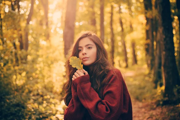 Hermosa mujer de otoño con hojas de otoño en el fondo de la naturaleza de otoño. Hola Otoño. Foto de moda atmosférica al aire libre de la joven hermosa dama en el paisaje de otoño . — Foto de Stock