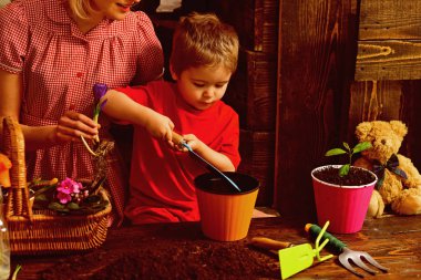 Saksı kavramı. Küçük çocuk toprak saksının içinde koymak. Çocuk bitki çiçek saksı. Saksı toprağı ile