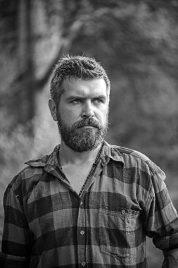 Acımasız oduncu çölde göçebe. Ekolojist orman keşfetmek. Çevre ve doğa koruma kavramı