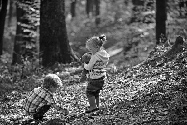 I bambini attivi giocano all'aria aperta nella foresta autunnale. Riposo attivo e attività per bambini all'aperto — Foto Stock