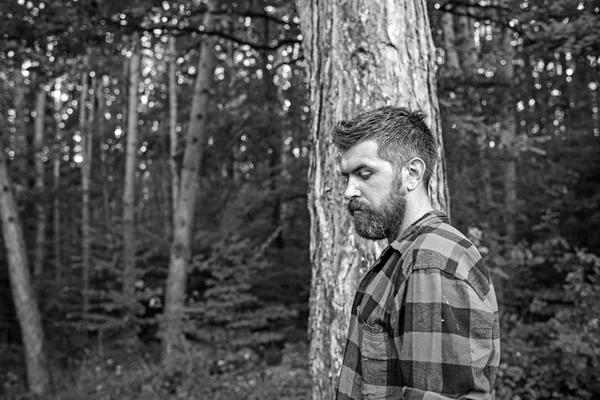 在森林或公园里, 一个有思想胡子的男人穿着伐木衫。英俊的徒步旅行者独自享受大自然。积极的生活方式, 旅行和孤独的概念 — 图库照片
