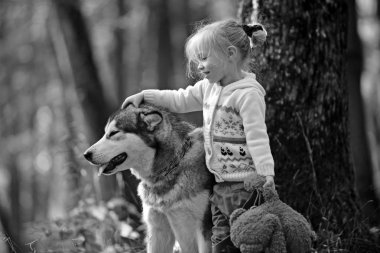 Küçük kız sonbahar ormanında köpekle yürüyor.