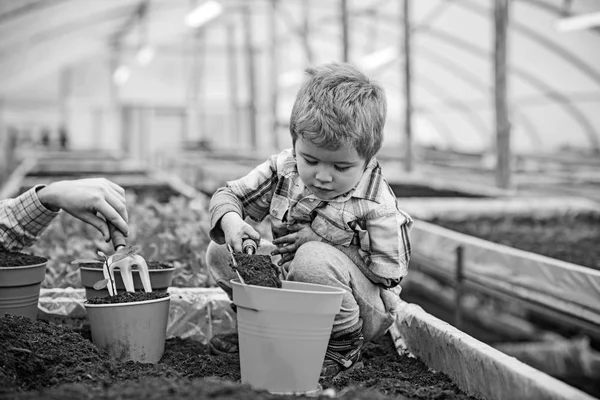 Enfant remplissant pot jaune avec de la terre, main mâle tenant fourchette. Un gamin blond jouant dans une serre. Concept de jeu éducatif — Photo