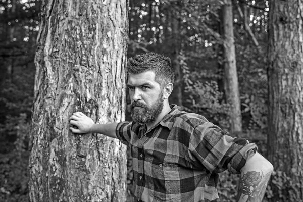 Summer vacation concept. Bearded man in forest. Hipster with long beard on natural green landscape. Tourist in plaid shirt relax at tree. Traveler hiking on sunny day.