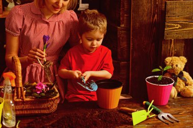 Gübre kavramı. Küçük çocuğu gübre tencereye koy. Yeni yeşil bitki toprak için gübre. Organik gübre