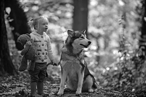 Active girl play with dog in autumn forest. Active rest and child activity on fresh air outdoor