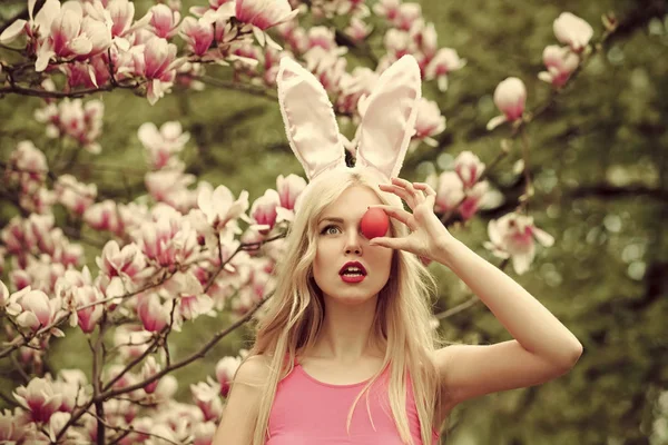 Lente, natuur, seizoen. — Stockfoto