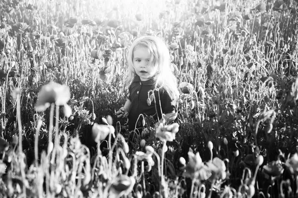 Campo de flor con niño o niño pequeño —  Fotos de Stock