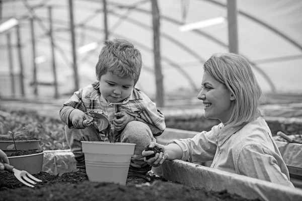 Koncentrált szőke gyerek játszik a lapátot. Side view mosolygó nő gazdaság egy maroknyi talaj, miközben nézte a fiát ülő földre dobozában — Stock Fotó