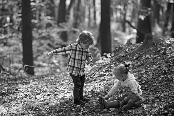 Small boy and girl friends have fun in woods. Kids harvest grass in autumn forest. Brother and sister play on fresh air. Childhood and child friendship. Children activity and active rest — Stock Photo, Image