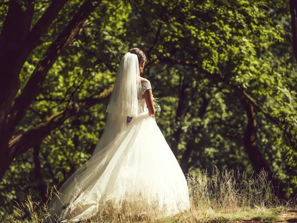 Bella sposa in abito lungo — Foto Stock