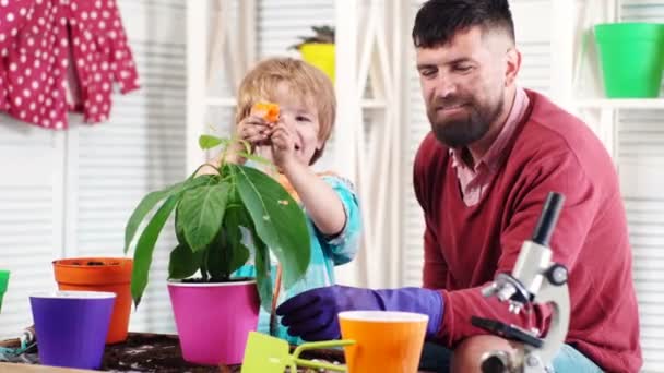 Happy weekend. Father and son. Moisturizing. The boy sprinkles water on the plant flower. Experiments in the home garden. Plants and Biology. Spring time. — Stock Video