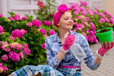 Hydrangea. Bahar. Sera çiçekleri. Çiçek Bakımı ve sulama. topraklar ve gübreler. çiçekler ile mutlu kadın bahçıvan. bahçede çiçek kadın bakımı. Hoş mutlu çiçekçi sulama çiçekler
