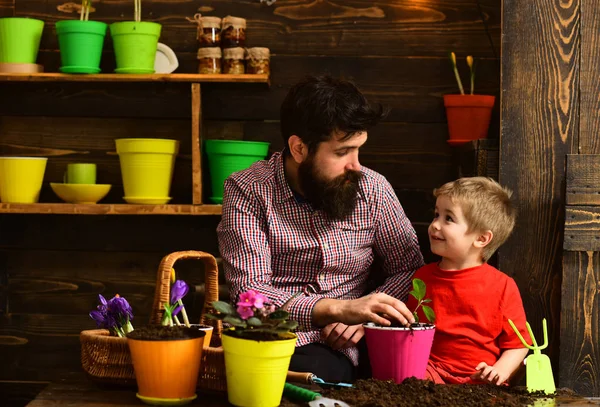 수염 남자와 어린 소년 아이가 자연을 사랑 해요. 아버지와 아들. 꽃 관리 급수. 토양 비료. 봄 꽃과 함께 행복 한 정원사. 가족의 날. 온실. 꽃 농장 — 스톡 사진