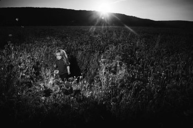 çocuk veya yaz aylarında haşhaş sahada ağlayan küçük çocuk