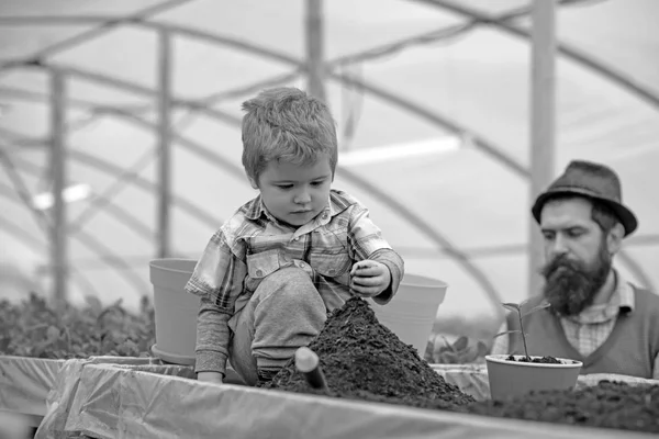 Lindo chico rubio sentado en una caja llena de tierra. Niño pequeño jugando con montículo de tierra. Barbudo hombre con sombrero de pie en la espalda borrosa — Foto de Stock
