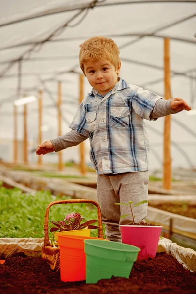 農業の新技術。農業の新技術の技術革新。小さな男の子は、新しい技術と農業。コンセプト農業新技術。現代の生活. — ストック写真