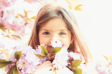 Bahar. hava tahmini. Güneşli bahar, küçük kız. yüz ve cilt bakımı. çiçekler alerjisi. Yaz kız moda. Mutlu çocukluk. Küçük çocuk. Doğal güzellik. Çocuk günü. Benimle gel