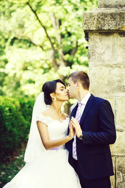 Groom holds bride — Stock Photo, Image