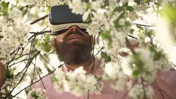 Hombre barbudo en gafas VR disfrutando de un día soleado en un jardín ensangrentado. Hombre guapo sorprendido con delicadas flores blancas sobre fondo natural. Juegos VR y concepto de primavera. Hipster jugando al aire libre . — Vídeos de Stock