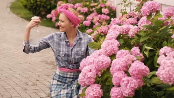 Meisje zorgt voor roze bloemen. Ongelooflijk mooie weelderige toppen van roze bloemen. Vrouw drenken bloemen. Lila bloemen bos achtergrond. Hydrangea. Lente en zomer. Concept van kweek planten. — Stockvideo