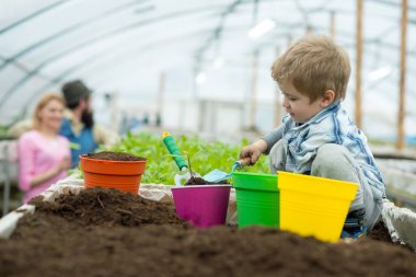 toprak analizi. Küçük çocuk serada toprak analizi yapıyor. ağaç dikmek için toprak analizi. toprak analizi kavramı. Sana yardım edeyim..