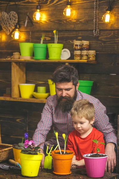 happy gardeners with spring flowers. bearded man and little boy child love nature. Father and son. Fathers day. Flower care watering. Soil fertilizers. Family day. Greenhouse. Involved in work