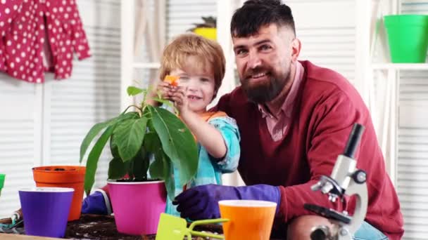 Vår koncept, natur och omsorg. Söt barn pojke hjälper sin pappa att ta hand om växter. Plantera blommor. Man med en pojke växt blommor. Familjen växt blommor. Växande växter och groddar grobarhet. Vårtid — Stockvideo