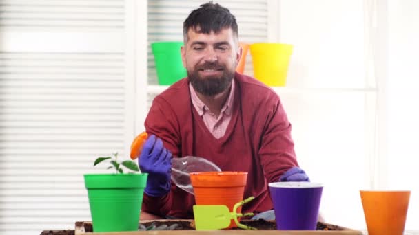 Cuidar bien las plantas. Hombre joven guapo regando planta en maceta mientras está de pie en una pequeña sala de jardín. Mantener las plantas hidratadas. Mejor hobby . — Vídeo de stock