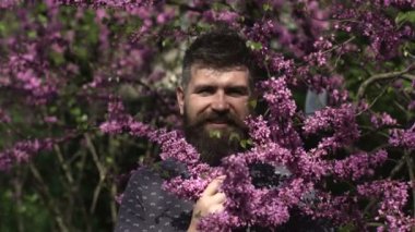 Duygular ve yüz expxression. Bahar adamı. Bahar doğası. Sakallı ve leylak çiçeği olan mutlu bir adam. Sakallı adam güneşli bir günde leylak çiçeklerle gülümser. Hipster ilkbaharda çiçek kokusu zevk.