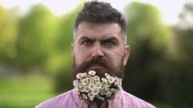 Uzun sakalında küçük beyaz çiçekler olan mutlu hipster. Gülümseyen adam yeşil çayır, bahar tazelik kavramı sıcak güneşli gün zevk. Çevre dostu yaşam tarzı kavramı. Hipster bahar sahiptir.