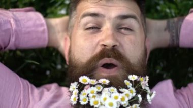 Yeşil çimenlerin üzerinde yatan sakalında çiçekler olan bir adam. Mans doğal arka planda sakalında çiçeklerle yüz, yakın. Sakallı adam güneşli gün açık havada zevk, doğa kavramı ile birlik.