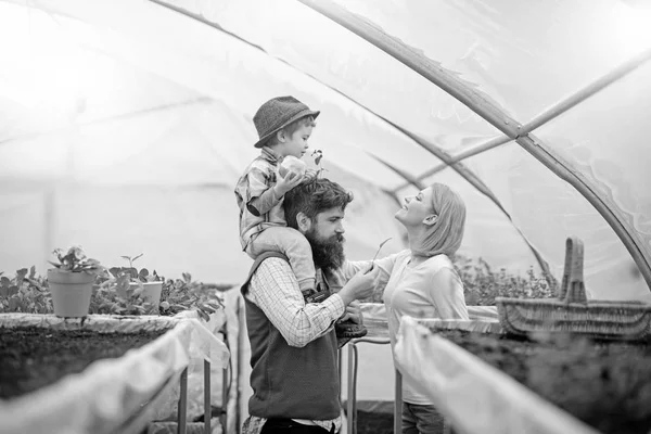 Mutter sah ihren Sohn auf Papas Schultern sitzen. Perlenmann in blauer Weste verbringt Zeit mit Familie im Gewächshaus. Öko-Gartenkonzept — Stockfoto