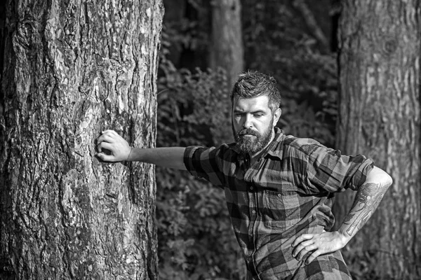森の中に立っている背の高い残忍な男。木に寄りかかっている間、木材ジャックは休んでいる。腕にバラの入れ墨を持つヒップスター — ストック写真