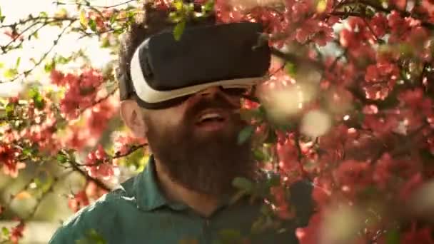 Homme avec barbe porter des lunettes VR dans le jardin de printemps. Homme barbu explorer l'environnement avec gadget. Hipster avec casque mobile à l'arbre rouge en fleurs. Réalité virtuelle et jeux. Nouveau concept technologique . — Video