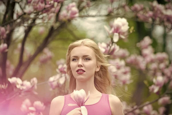 Lente, natuur en milieu. — Stockfoto