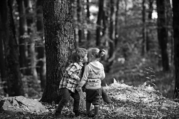 Kleines Mädchen und kleiner Junge küssen sich im Herbstwald — Stockfoto