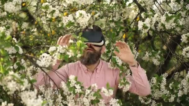 Представьте себе опыт. Бородач носит очки в весеннем цвете. Инновационные vr технологии. Человек в наушниках виртуальной реальности. Бородач играет в весеннем саду. Моделирование виртуальных технологий . — стоковое видео