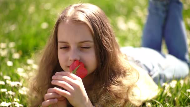 Девушка лежит на траве, кусты на заднем плане. Девушка на мечтательном лице держит красный цветок тюльпана, наслаждается ароматом. Ребенок наслаждается весенним солнечным днем, лежа на лугу с цветами. Сезонная аллергия . — стоковое видео