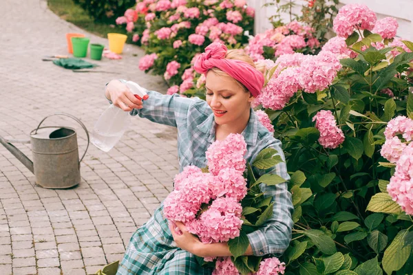 フラワーケアと水やり。土壌と肥料。アジサイ。春。温室の花。庭の花の女性の世話。花と幸せな女性の庭師。温室で働く経験豊富な庭師 — ストック写真