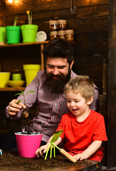 Father and son. Family day. Greenhouse. bearded man and little boy child love nature. happy gardeners with spring flowers. Flower care watering. Soil fertilizers. Involved in work