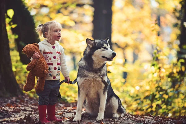 Active girl play with dog in autumn forest. Active rest and child activity on fresh air outdoor