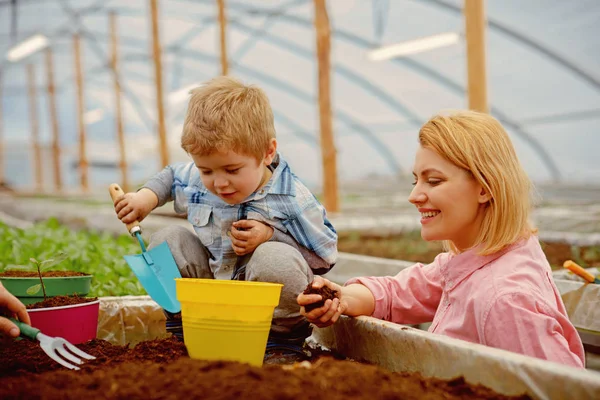 Mor och barn i växthus. mor och barn arbetar i moderna växthus trädgård. mor och son plantera träd i växthus. glad dag av mor och son. växthusgaser — Stockfoto