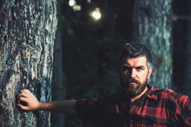 Ormandaki genç sakallı adamın görüntüsü. Kameraya bakmak